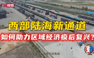 【东西问】林勇新：西部陆海新通道如何助力区域经济疫后复兴？