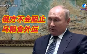 普京指西方制裁酿成能源危机