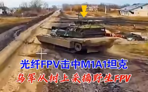 光纤FPV击中“艾布拉姆斯”，乌军从树上采摘野生FPV