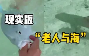 澳大利亚渔夫赶走三条鲨鱼，成功保卫刚钓上的鱼儿