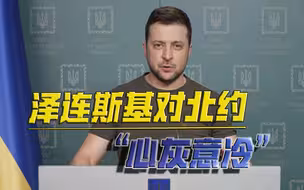 一夜之间泽连斯基醒悟了？称不再指望加入北约，要与普京展开对话