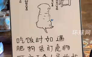 看这指示牌不像巧合，看这哈喇子不像演的