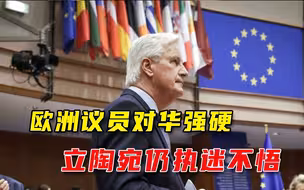 欧洲议会鼓吹反华论调，欧盟不想激怒中国，立陶宛仍执迷不悟
