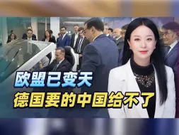 还没完，德国交通部长又来，谁料欧盟已变天，德国要的中国给不了
