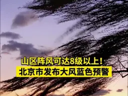 山区阵风可达8级以上！北京市发布大风蓝色预警