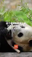 这个视频我能看十遍。沉浸式看福宝吃播，吃着吃着就躺下了
