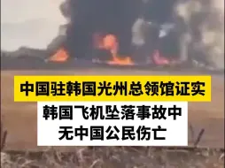 中国驻韩国光州总领馆证实，韩国飞机坠落事故中无中国公民伤亡