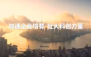 加速企业培育 壮大科创力量