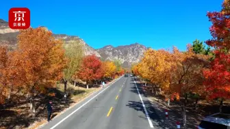 这个秋天去哪玩？集合！快来这条“最美公路”打卡拍照