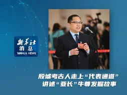 新华社消息｜殷墟考古人走上“代表通道”讲述“亚长”牛尊发掘故事