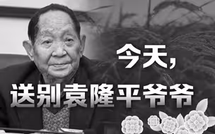 今天，我们一起送别袁隆平爷爷
