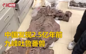 中国发现2.5亿年前九峰吐鲁番兽