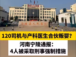 120司机与产科医生合伙贩婴？河南宁陵通报：4人被采取刑事强制措施