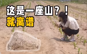 这座山不到一米 却是山东寿光海拔最高点