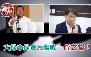 大绿小绿贪污面前一丘之貉，“时代力量”分崩离析要“团灭”？