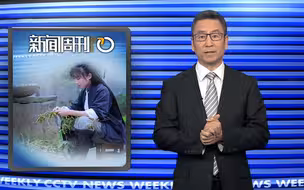白岩松为李子柒鼓掌：现在我们的问题是李子柒太少了