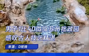 男子1比40微缩苏州拙政园  感叹古人技艺精湛