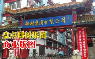 盘点椰树集团商业版图
