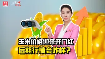 三农锐评丨 玉米价格迎来开门红，后期行情会咋样？