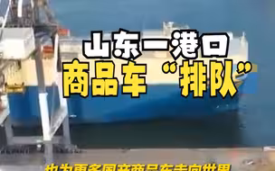 山东一港口商品车“排队”出海 强迫症被舒适到了