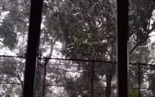 念叨了一天的暴雨来了！北京居民伫立窗前宛如置身“水帘洞”