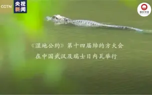 珍爱“地球之肾” 共同守护美丽家园