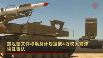 美泄密文件称埃及计划援俄4万枚火箭弹 埃及否认
