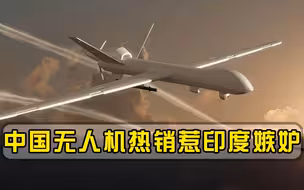 中国无人机热销惹印度嫉妒！印专家公开质疑，不料被事实打脸