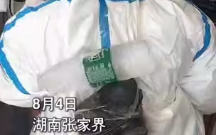 张家界核酸检测医务人员身绑冰矿泉水降温 ，村民：乡下条件不好，太热没风扇