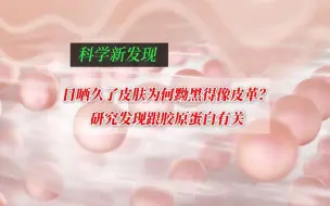 日晒久了皮肤为何黝黑得像皮革？研究发现跟胶原蛋白有关