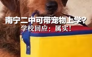 南宁二中可带宠物上学？学校回应：属实！