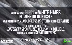 压力真的会让头发变灰白吗？
