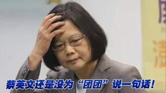 蔡英文还是没为“团团”说一句话！岛内各界怒批：小家子气
