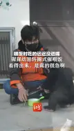 喂饭时吃的迟迟没进嘴，猩猩幼崽转圈式催喂饭，看得出来，是真的很急啊