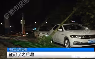都市报道【狂风+暴雨+闪电，树倒墙塌车遭殃！20年大槐树被连根拔起，砸烂车顶雨水倒灌】