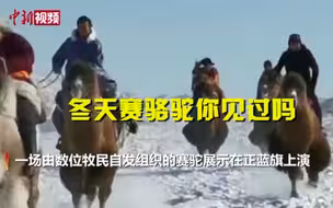 看过赛马 但是冬天雪地赛骆驼你看过吗？