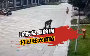 咬伤女童的狗打过狂犬疫苗，狗主人已经归案，称狗系偷跑出来，