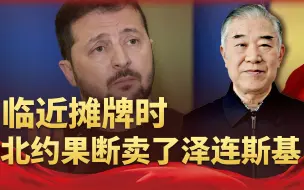 泽连斯基被出卖了，“胜利计划”第一步，就被北约牢牢卡死