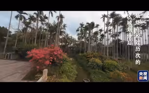 在博鳌，听见这个共同声音