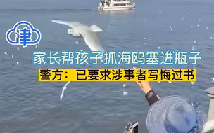 家长帮孩子抓海鸥塞进瓶子 警方：已要求涉事者写悔过书