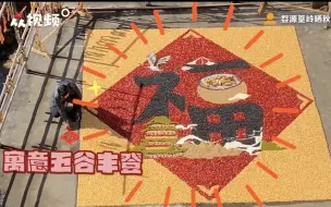 江西阿姨用五谷晒出超大福字