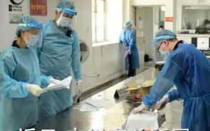 广州查获50只巨人恐蚁 喷酸可致人化学灼伤