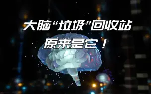 大脑“垃圾”回收站原来是它！