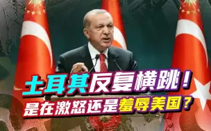 土耳其反复横跳！是在激怒还是羞辱美国？美怒问：请给出合理解释