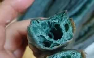 居家隔离研究美食，女子自制“阿凡达”油条：成品可怕给狗吃了