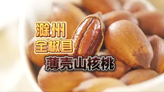 农业大摸底！ 你吃的碧根果真的是美国产的吗？