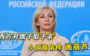 边讨疫苗边反俄，小国竟对俄罗斯作威作福，最近西方就是流行这招