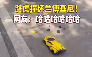 路虎把“兰博基尼”撞报废 小车主哭着要报警