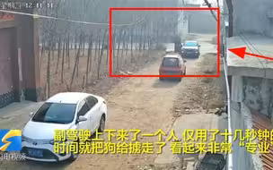 猖狂！仅用十几秒钟就掳走了一只狗 监控拍下全过程