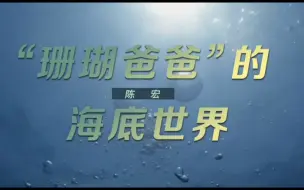 《这十年》微纪录片 第22集《“珊瑚爸爸”的海底世界》陈宏